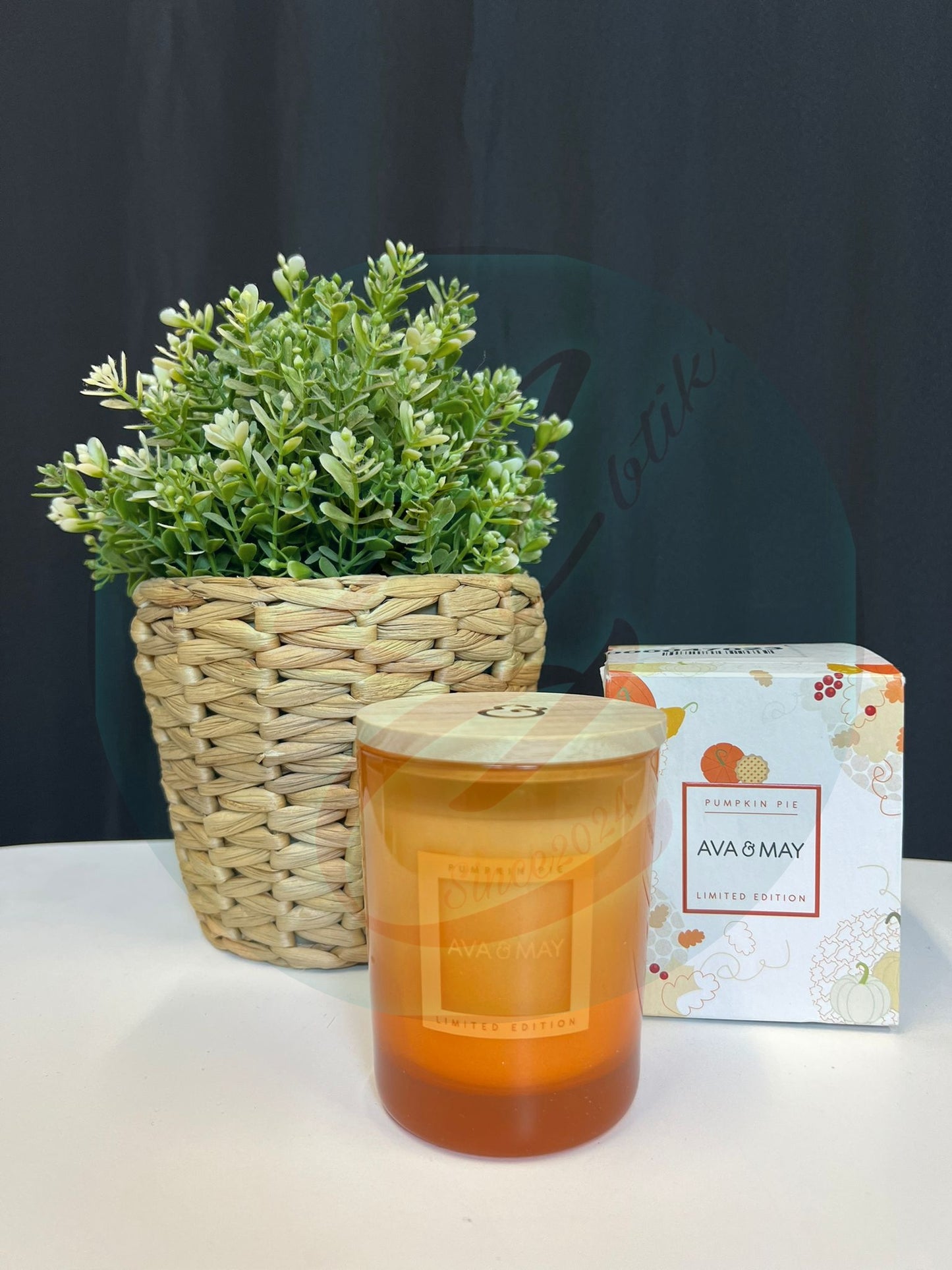 AVA & MAY Duftkerze — Normale Größe (ca. 40 Stunden) — B-Ware Pumkin Pie Limited Edition